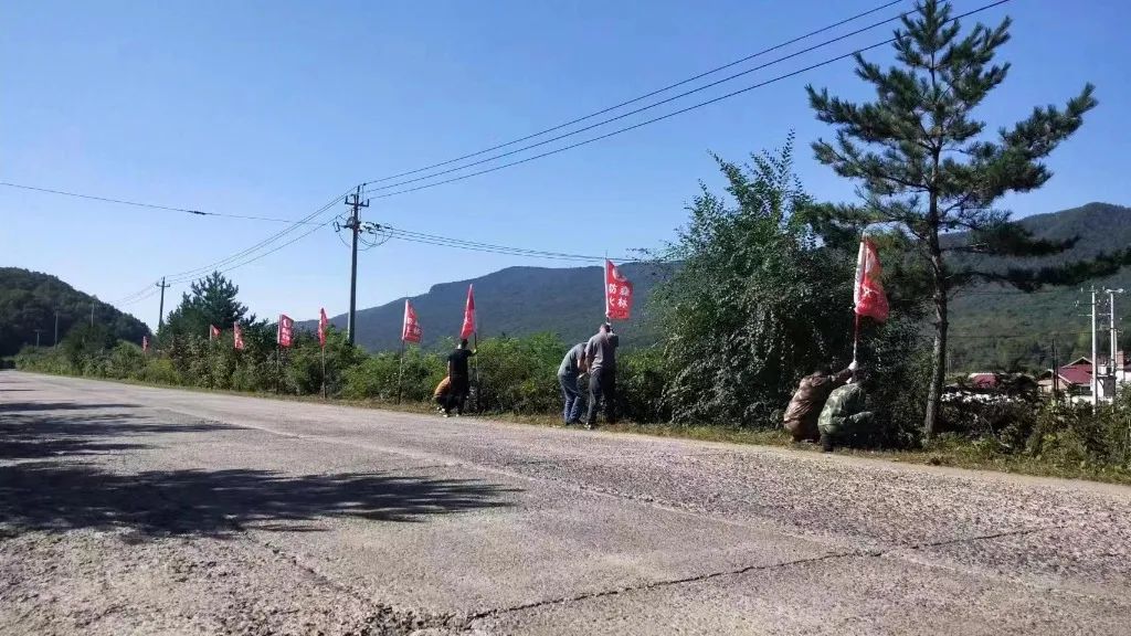 1695095006636352.jpg 6d647699a9ec8ea1344ba039eb016e14.jpg